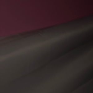 Meet your Posher, Lizbeth